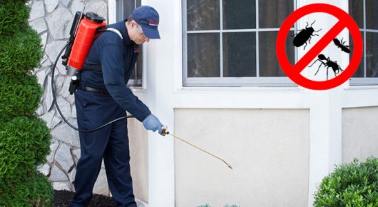 Tepebaşı Fare İlaçlama böcek ilaçlama ve haşere kontrolü — ilaclama-tr.com